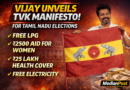 Vijay Announces TVK Manifesto for Tamil Nadu Elections: Free LPG, 2500 Aid, 25 Lakh Health Cover